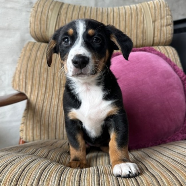 Photo of Clarice Cliff