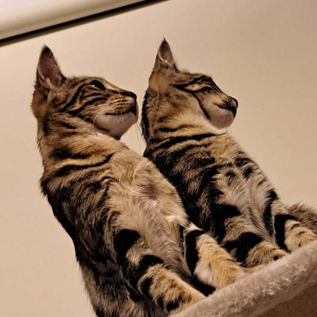 Photo of Ginge & Sprout