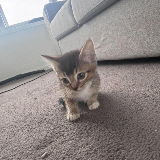 Photo of Cassian