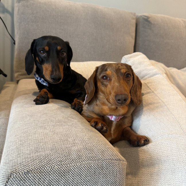 Photo of Penny And George