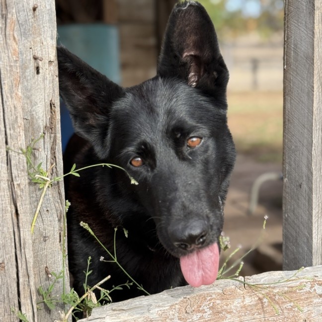 Photo of Storm