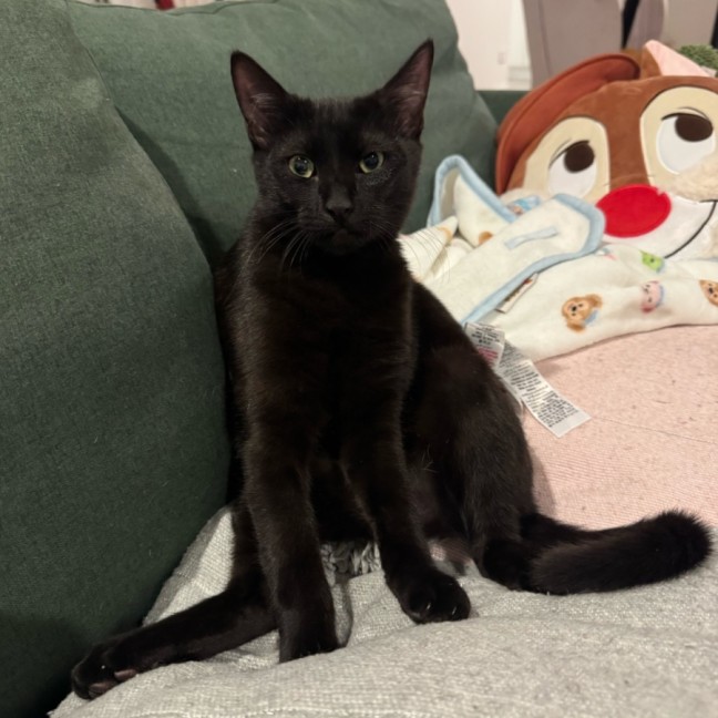 Photo of Hattie
