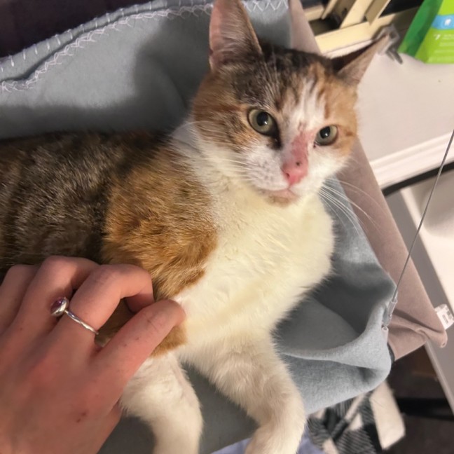 Photo of Zena ⚔️ 