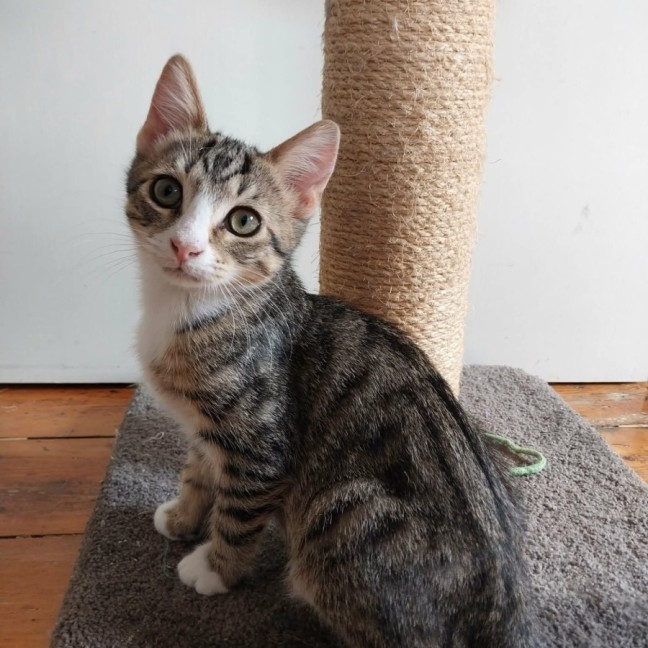 Photo of Sammy