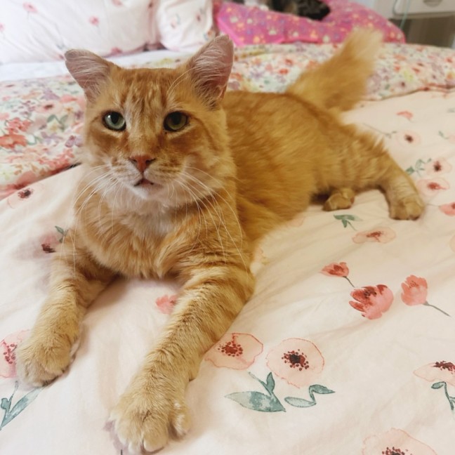 Photo of Buzz