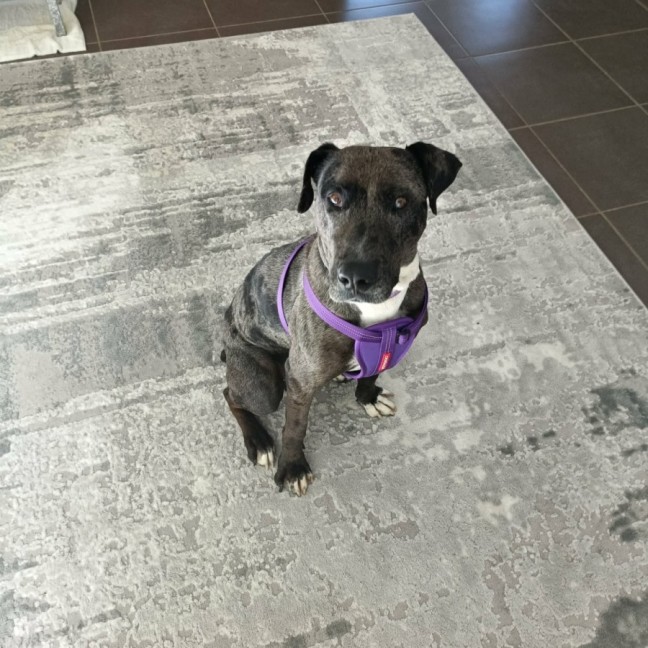 Photo of Freya