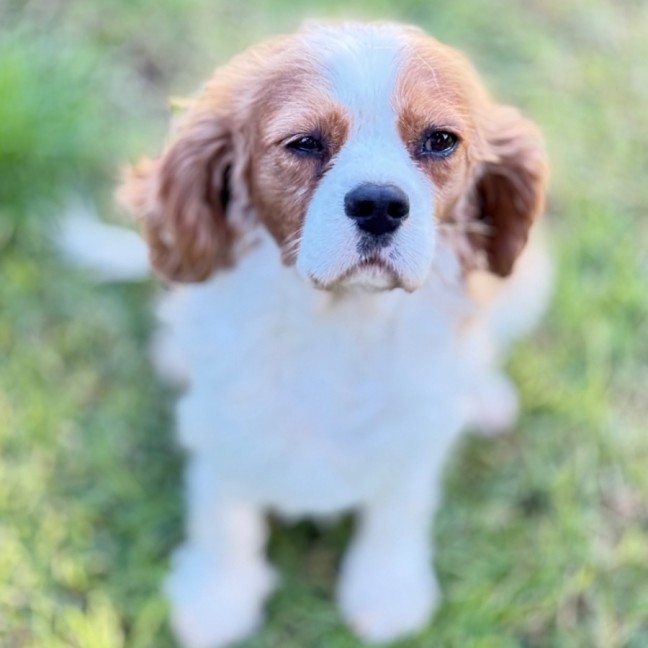 Photo of Ruth