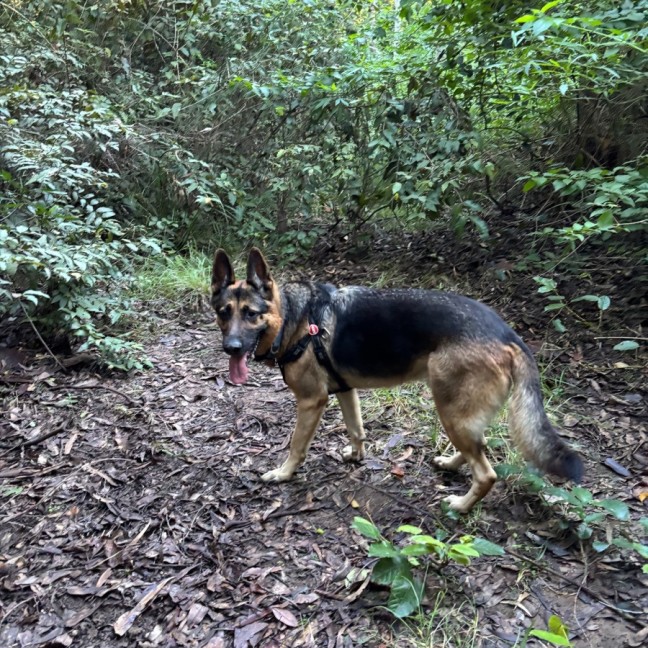 Photo of Max