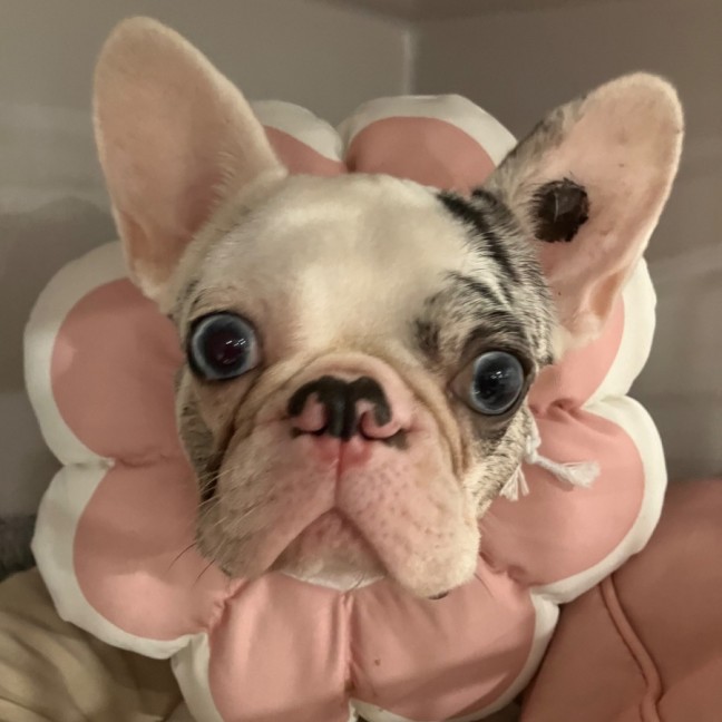 Photo of Minnie