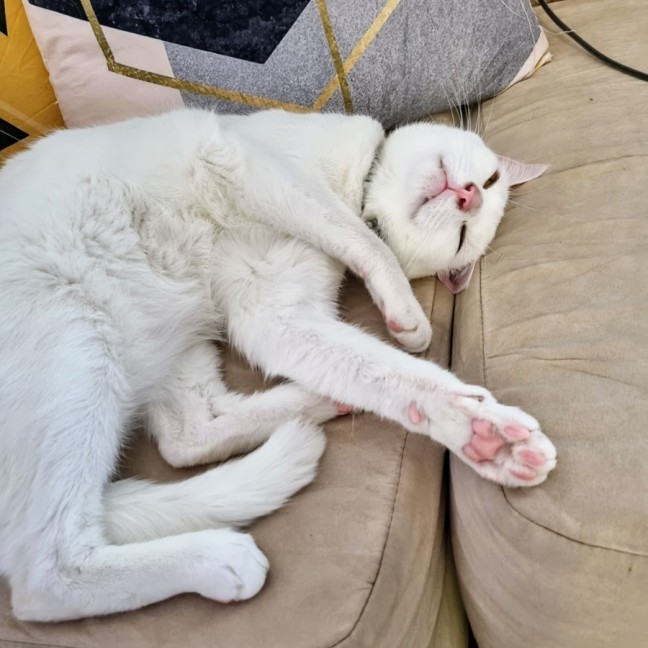 Photo of Louis And Hermione