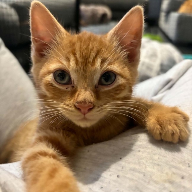 Photo of Tom   Meet Me 10/10 Info In Bio