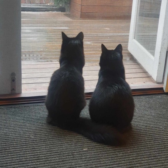 Photo of Thunder And Storm