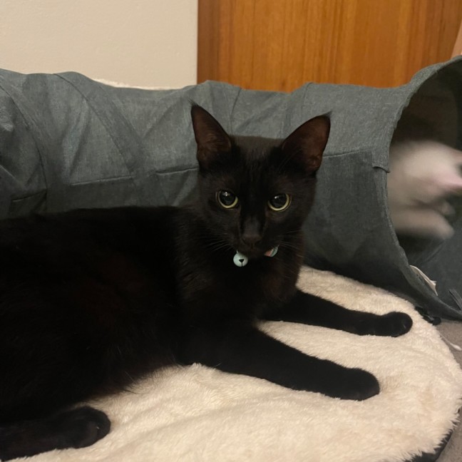 Photo of Buffy