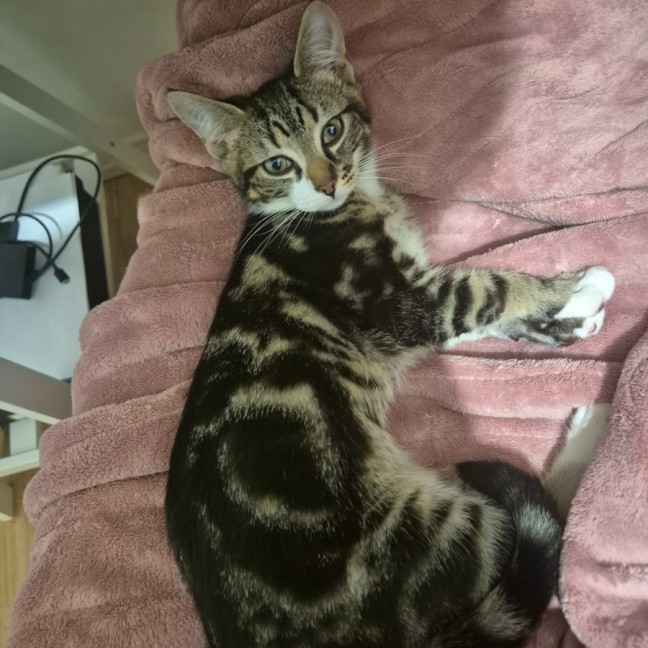 Photo of Max
