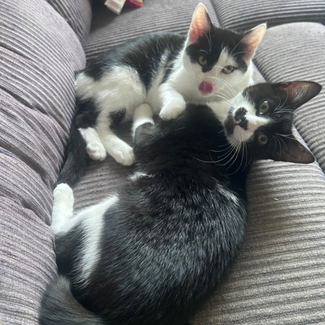 Photo of Parkway And James Bond 🥰