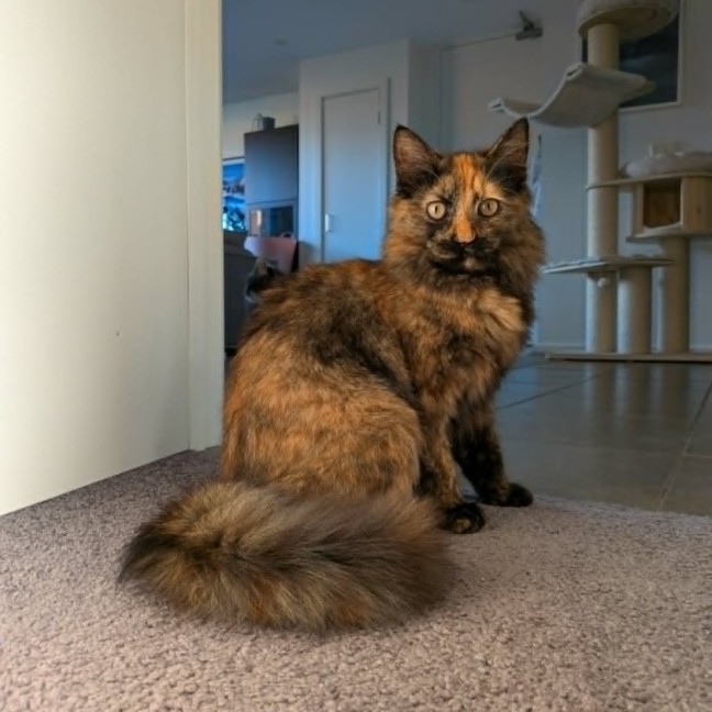 Photo of Namaari