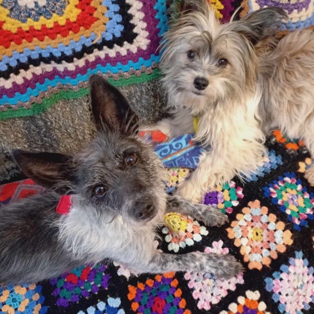 Photo of Benji & Lizzie