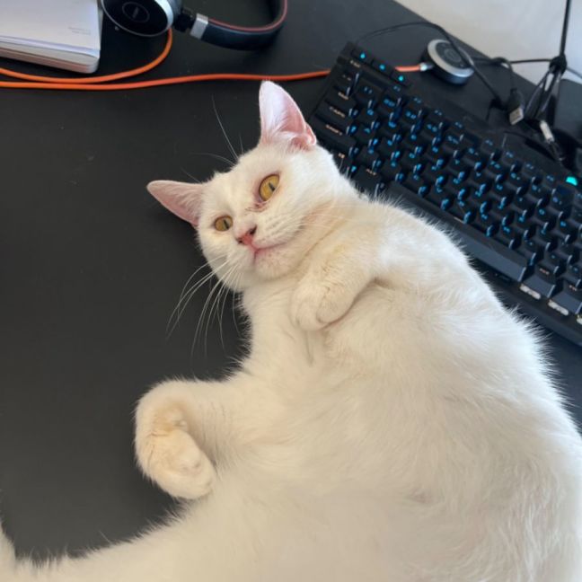 Photo of Princess Ciri 