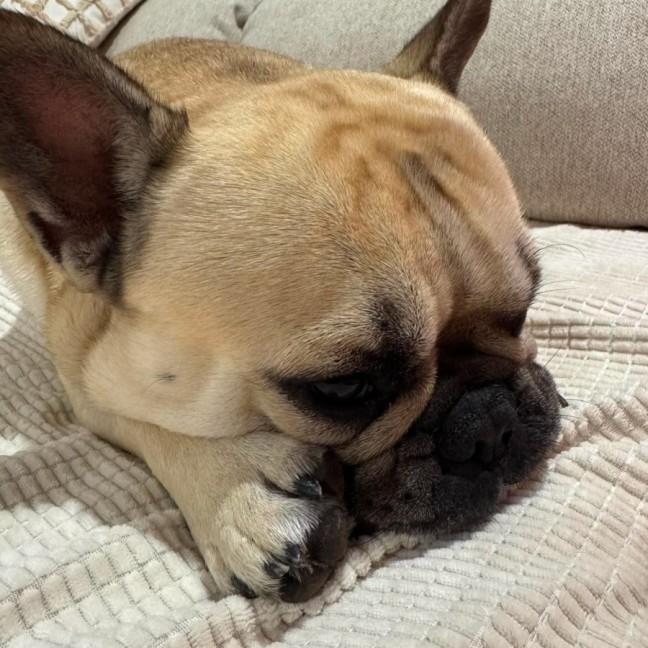 Photo of Buster