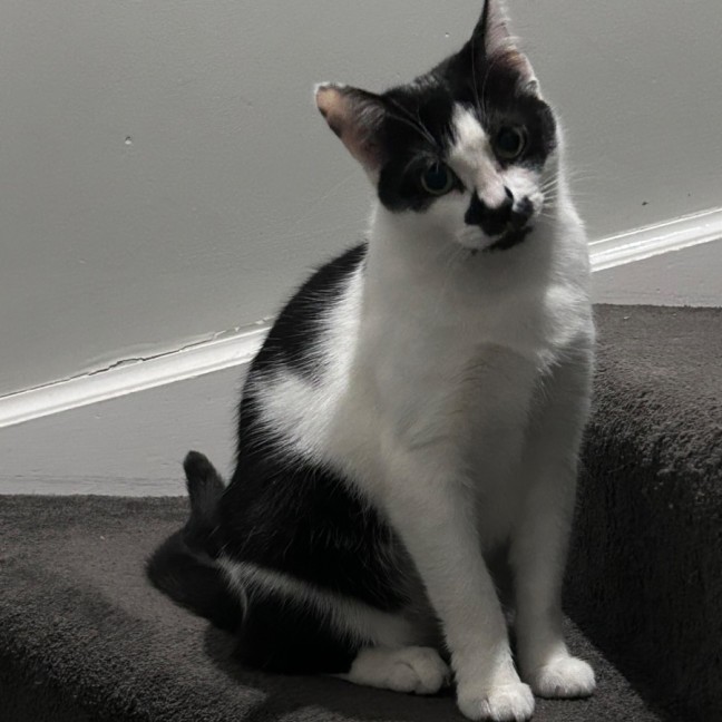 Photo of Gracey 💗