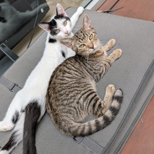 Photo of Wallace And Gromit