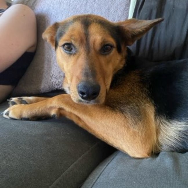 Photo of Jazz