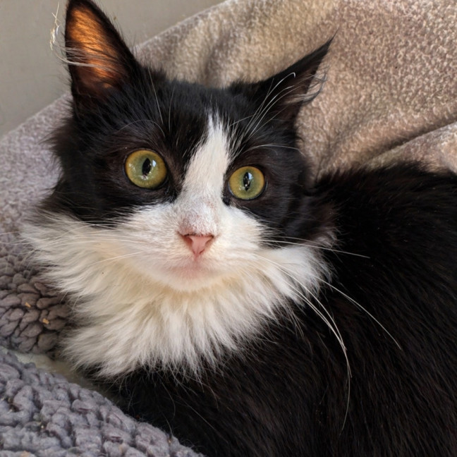Photo of Shirley