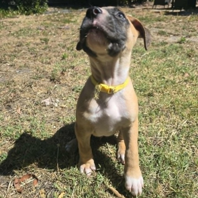 Photo of ⛰️ Coromandel's Litter (Part 2) ⛰️