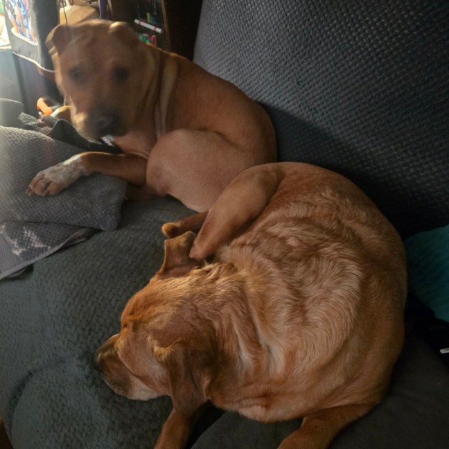 Photo of Sandy