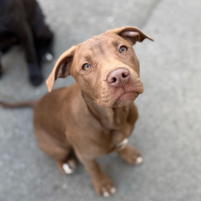 Photo of Darla