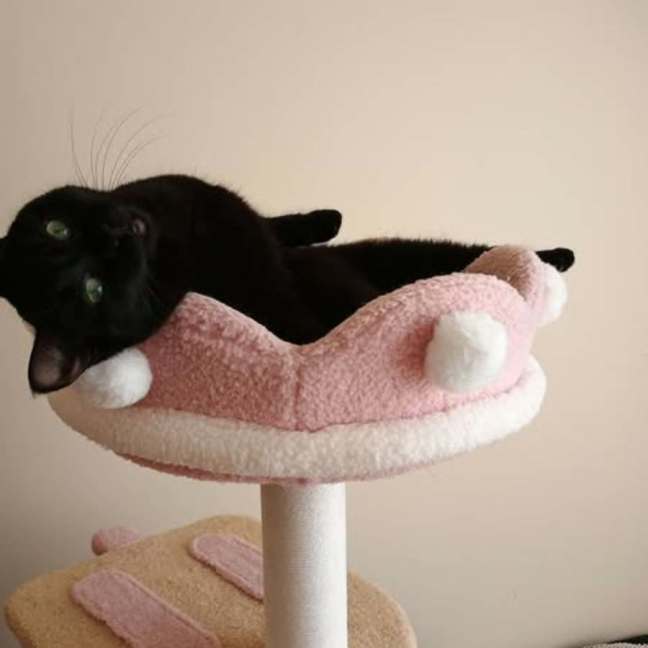 Photo of Jinx