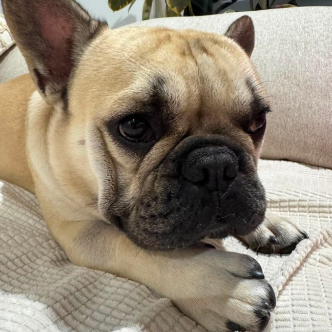Photo of Buster