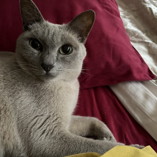 Photo of Justi & Moni