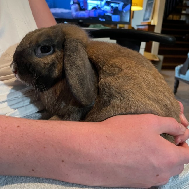 Photo of Milo And Raven