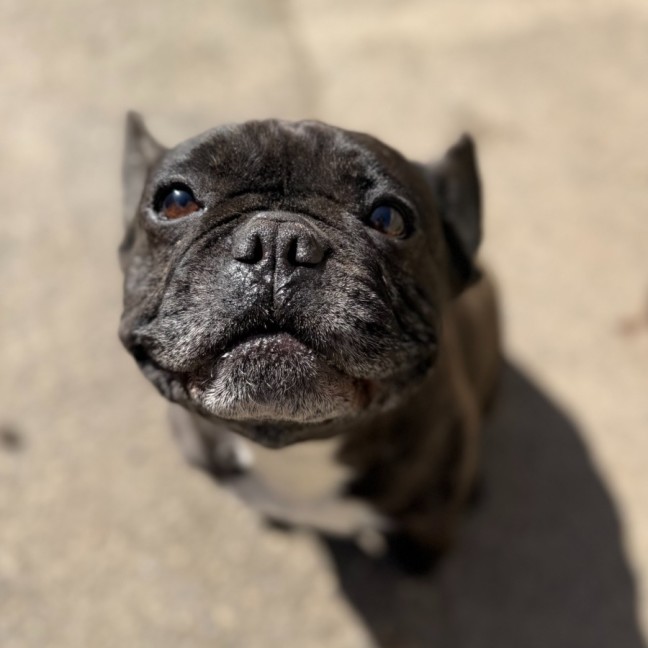 Photo of Echo