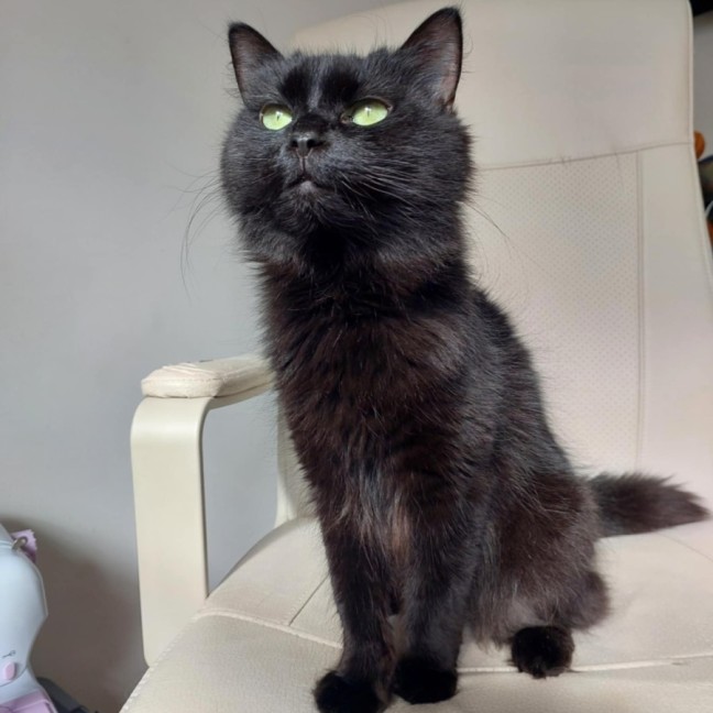 Photo of Eclipse 🖤