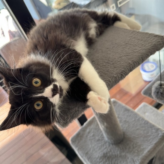 Photo of Mumbo