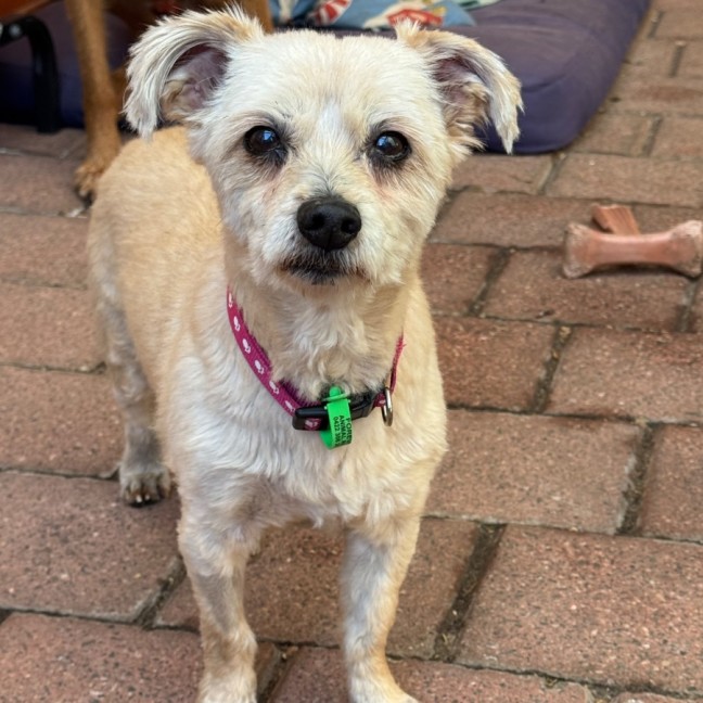 Photo of Betsy & Nigel