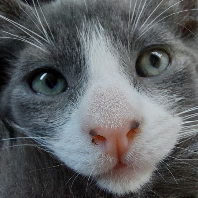 Photo of Vinnie