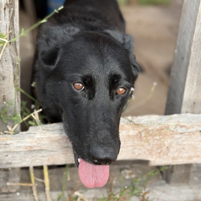 Photo of Storm