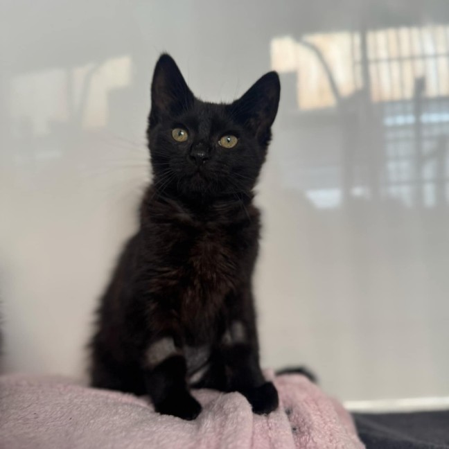 Photo of Betty   In Foster Care In Ashburton