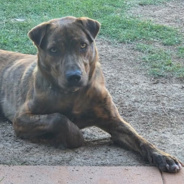 Photo of Melvin