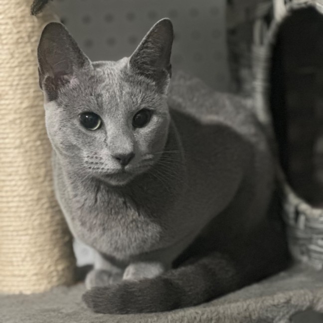 Photo of Elani 😻👑