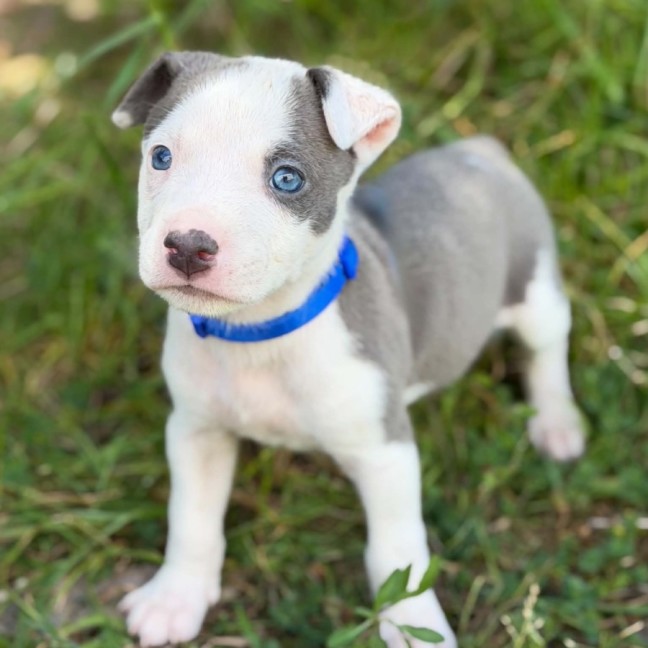 Photo of Leroy