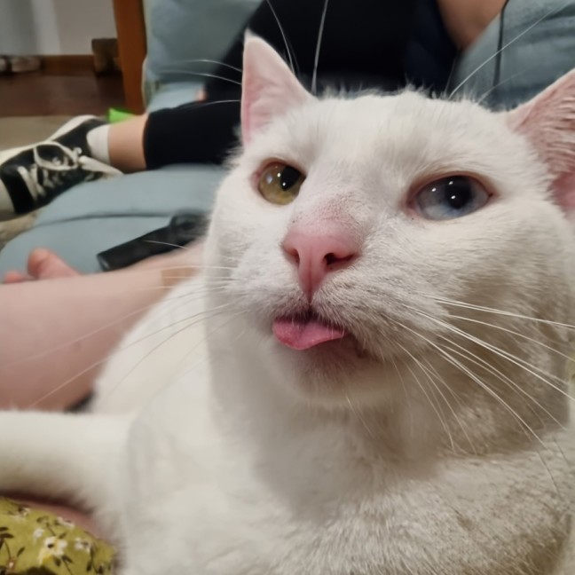 Photo of Louis And Hermione