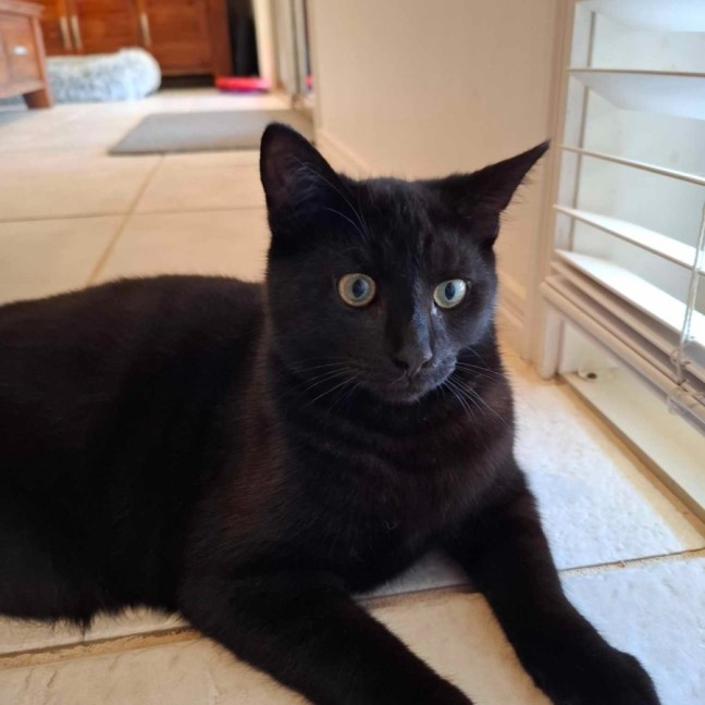 Photo of Terrence