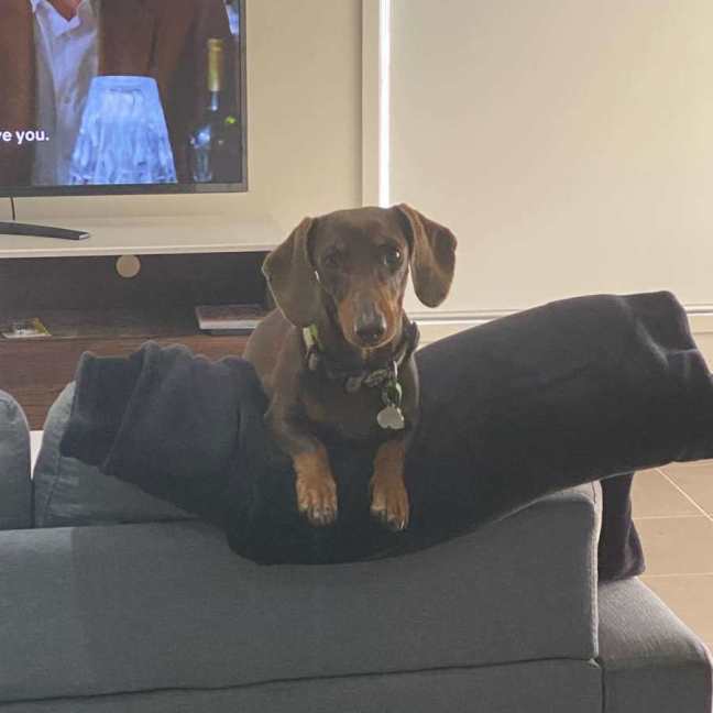 Photo of Bailey And Bentley