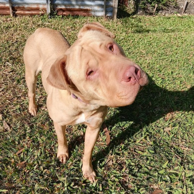 Photo of Sharlotte