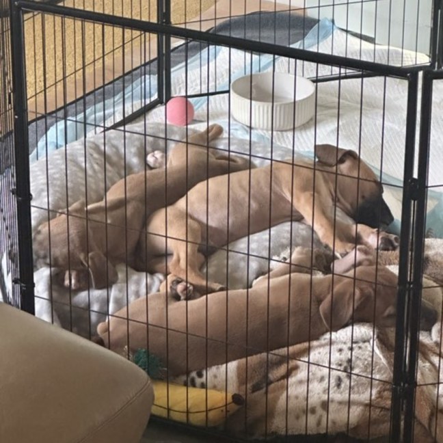 Photo of ⛰️ Coromandel's Litter (Part 1) ⛰️