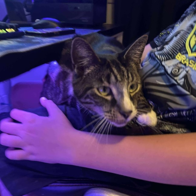 Photo of Tino